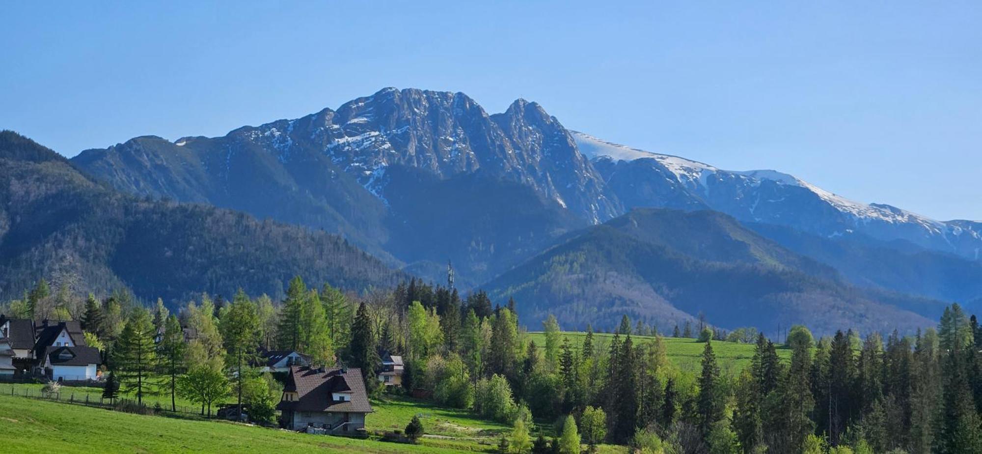 Marol Wynajem Pokoi Lägenhet Zakopane Exteriör bild