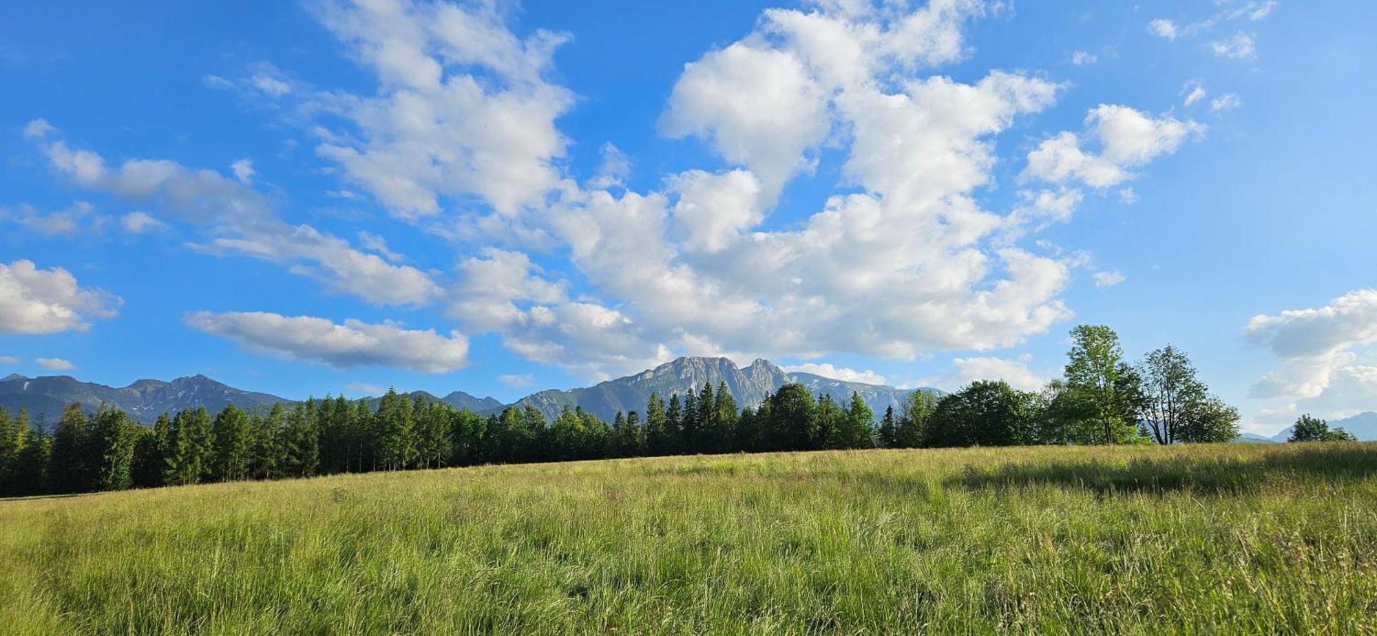 Marol Wynajem Pokoi Lägenhet Zakopane Exteriör bild